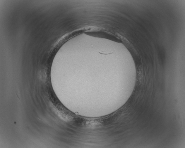 X0000080690208200701121734