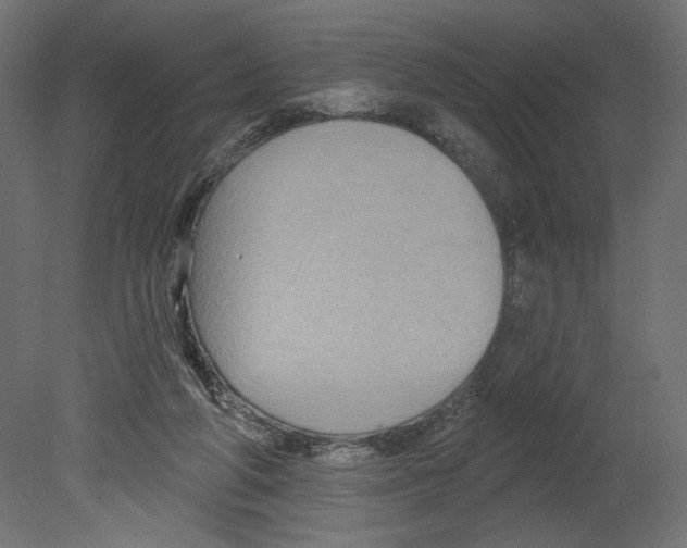 X0000080690210200701121734