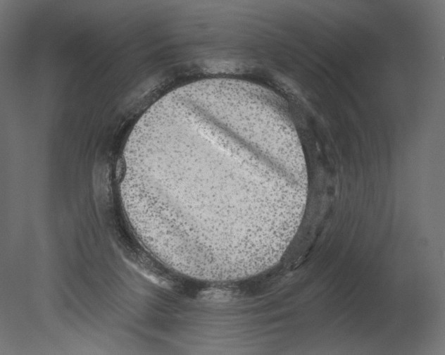 X0000080690211200701121734