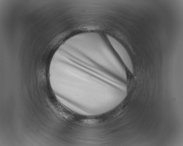 X0000080690212200701121734