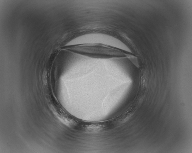 X0000080690213200701121733