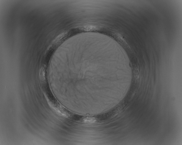 X0000080690214200701121733