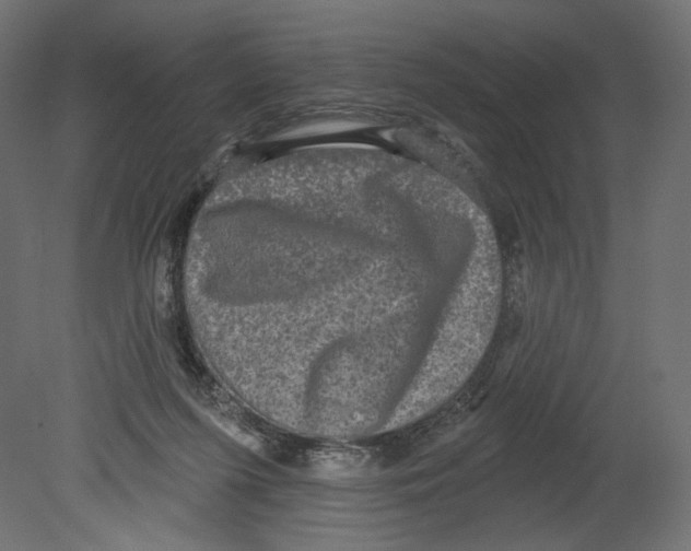 X0000080690215200701121733