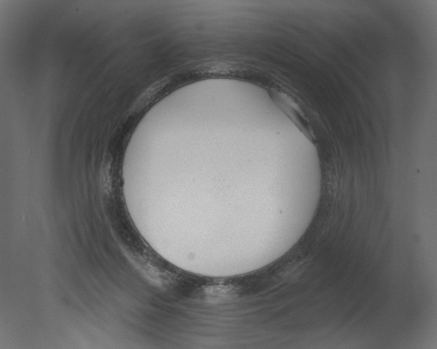 X0000080690216200701121733