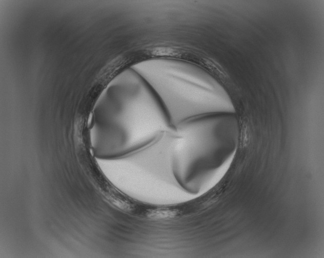 X0000080690217200701121733