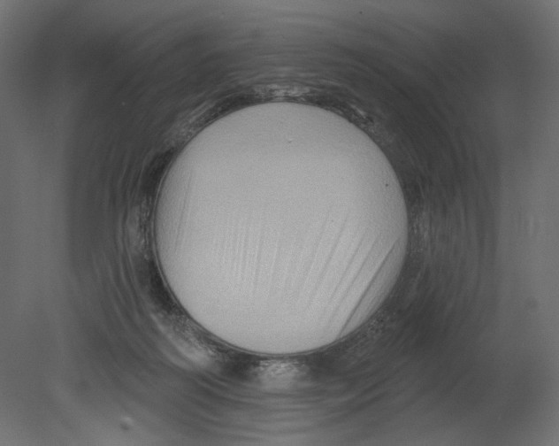 X0000080690218200701121733