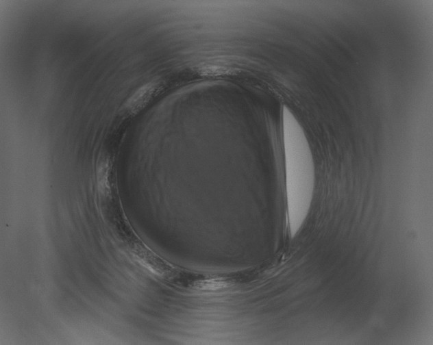 X0000080690219200701121733