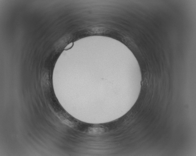 X0000080690220200701121733