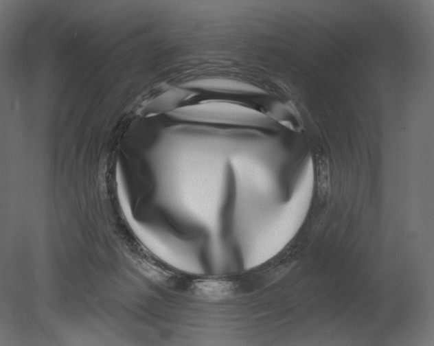 X0000080690221200701121733