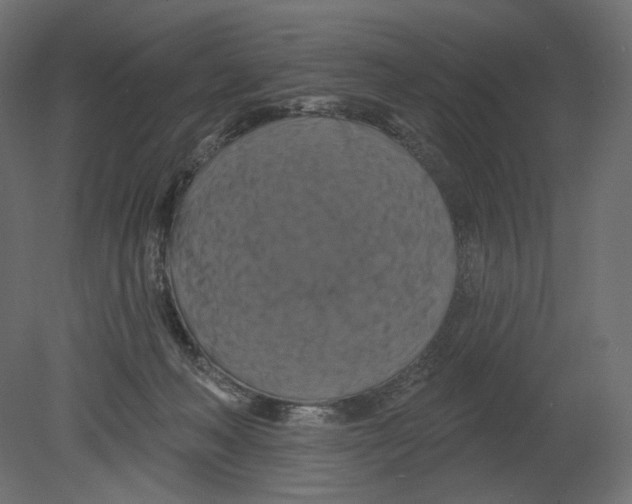 X0000080690222200701121733