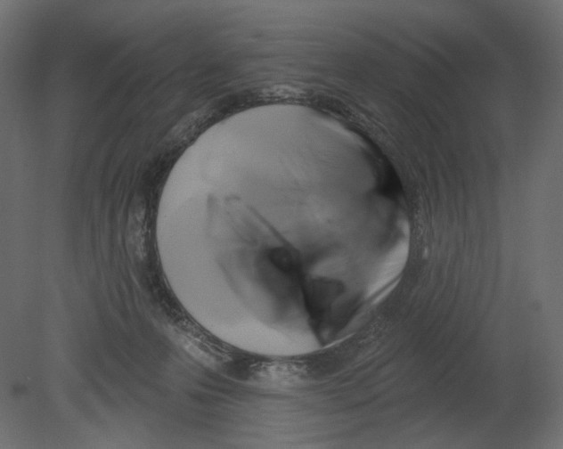 X0000080690223200701121733