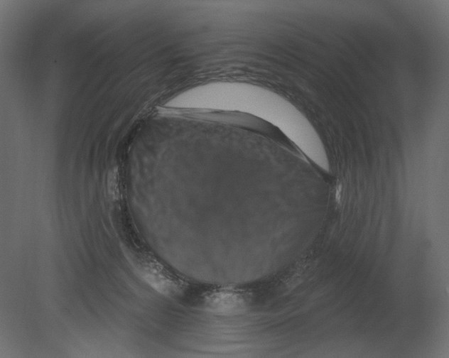 X0000080690224200701121733