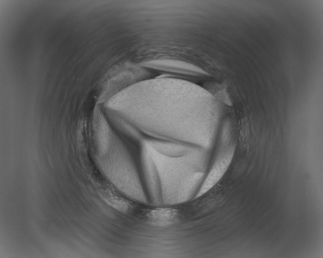 X0000080690225200701121733