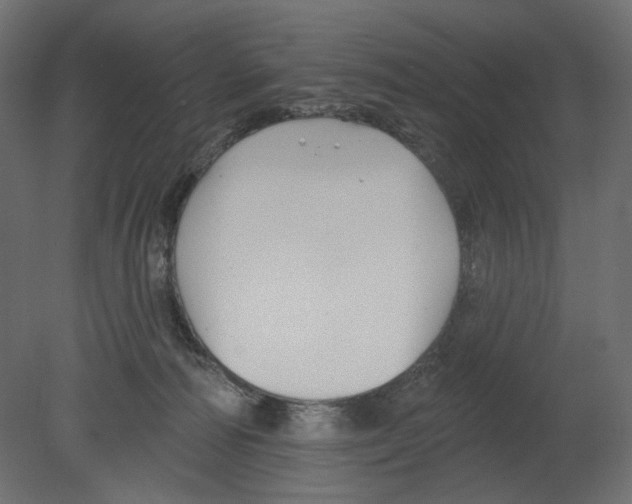 X0000080690226200701121733