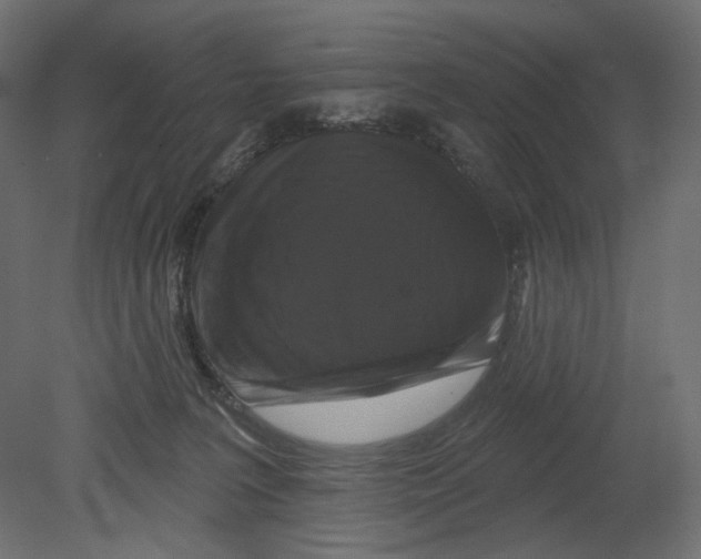 X0000080690227200701121733