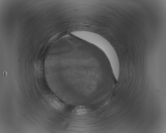 X0000080690228200701121733