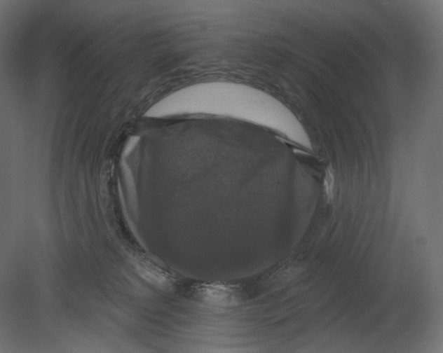 X0000080690229200701121733