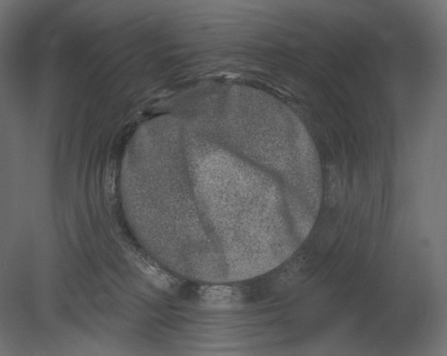 X0000080690230200701121733