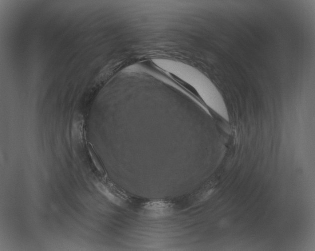 X0000080690231200701121733