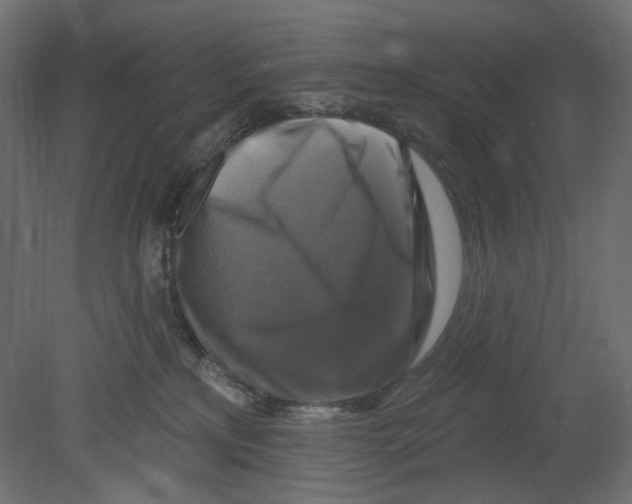 X0000080690233200701121733