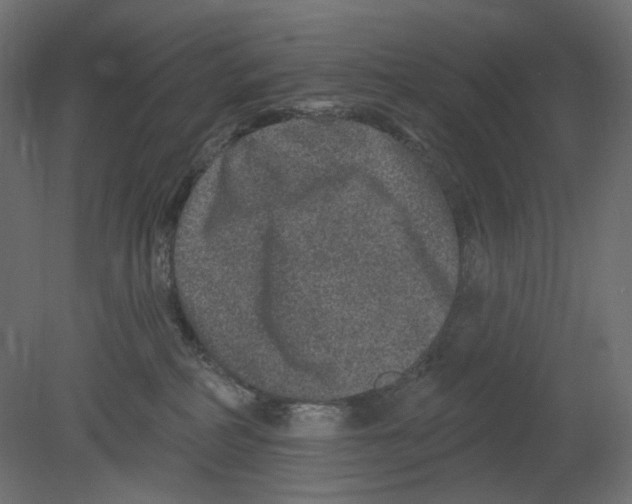 X0000080690234200701121733