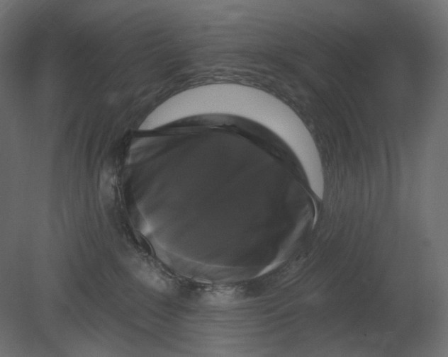 X0000080690235200701121733