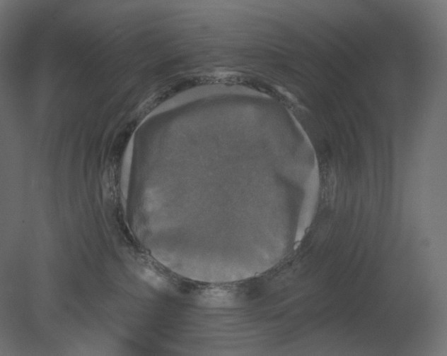 X0000080690236200701121733