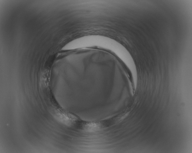 X0000080690237200701121733