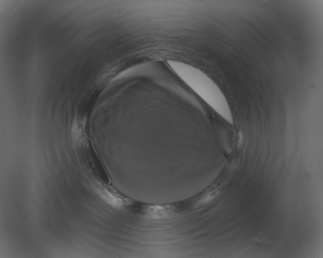 X0000080690239200701121733