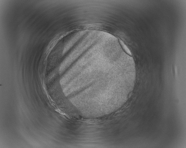 X0000080690241200701121732