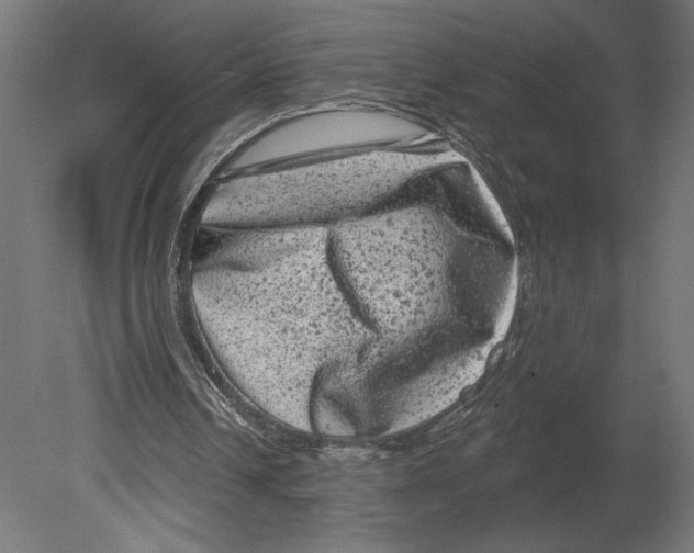 X0000080690242200701121732