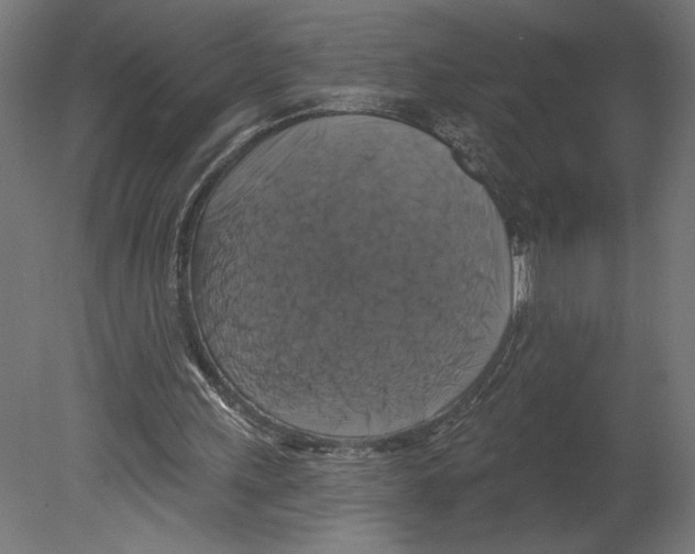 X0000080690243200701121732