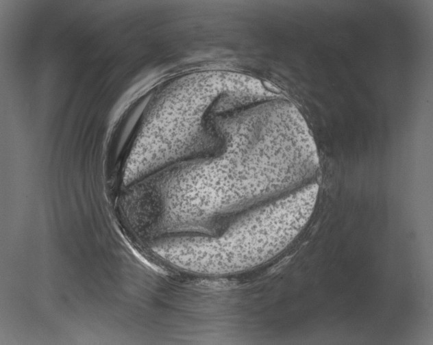 X0000080690245200701121732