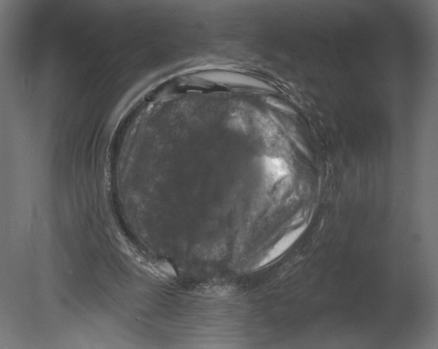 X0000080690247200701121732