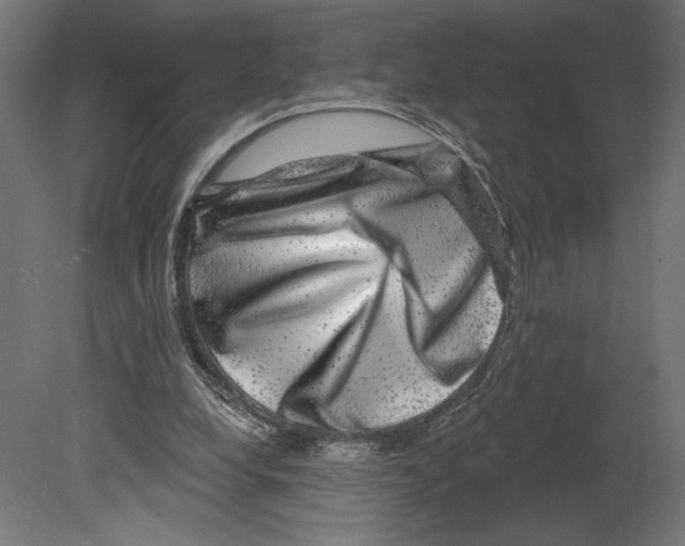 X0000080690248200701121732