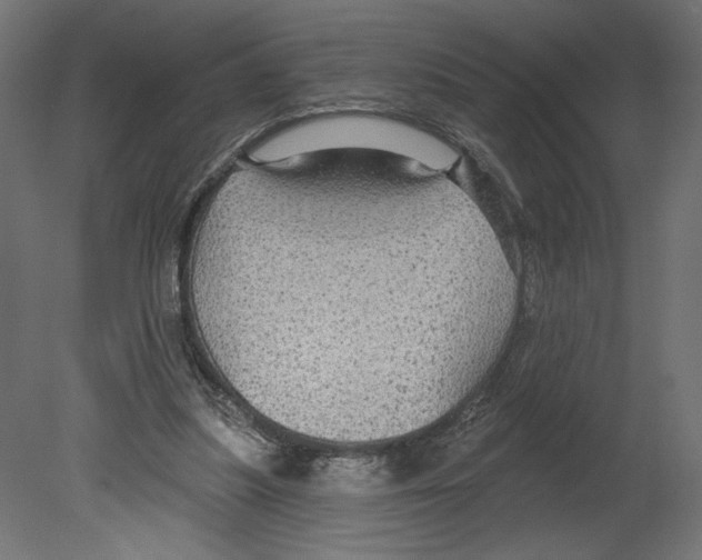 X0000080690251200701121732