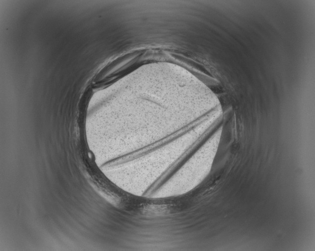 X0000080690252200701121732