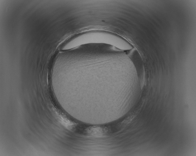 X0000080690253200701121732