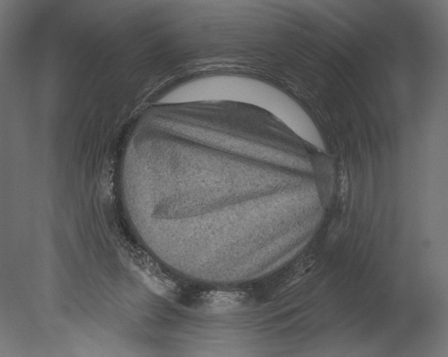 X0000080690255200701121732