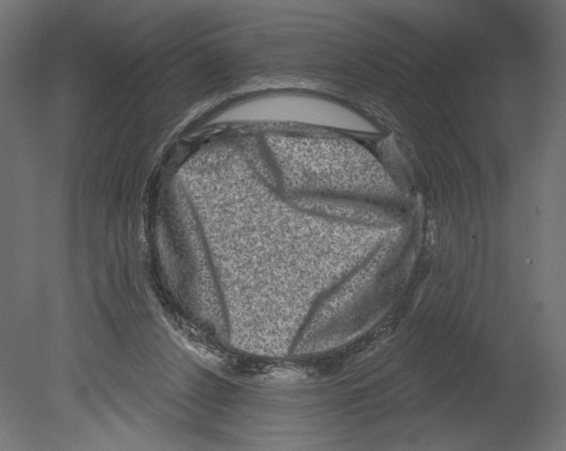 X0000080690256200701121732