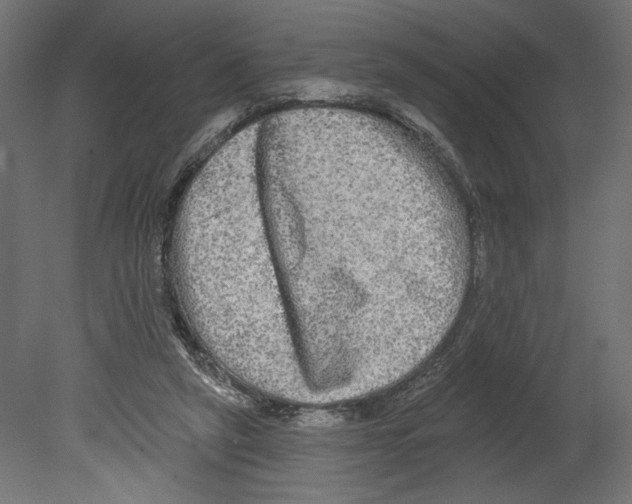 X0000080690257200701121732