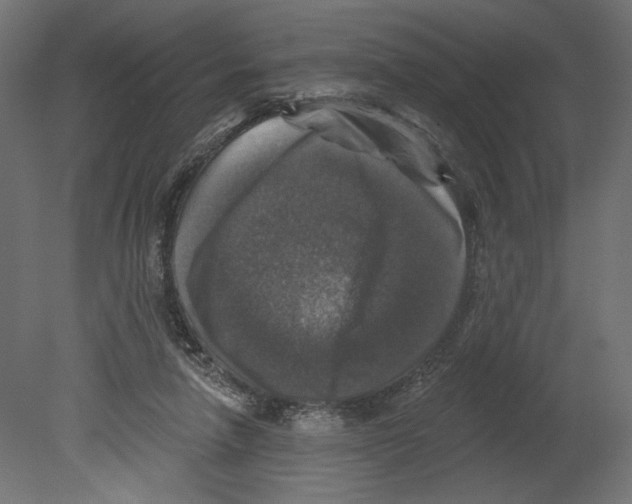 X0000080690258200701121732