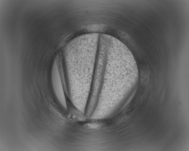 X0000080690259200701121733