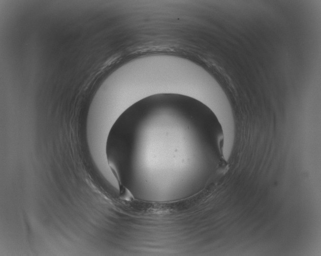 X0000080690260200701121733