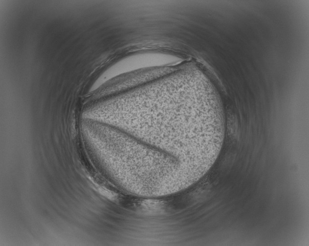 X0000080690261200701121733