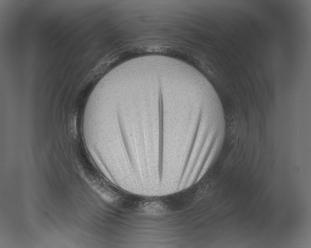 X0000080690262200701121733