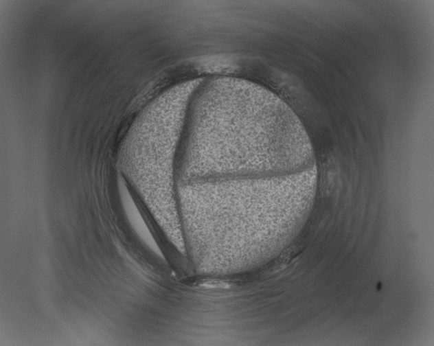 X0000080690263200701121733