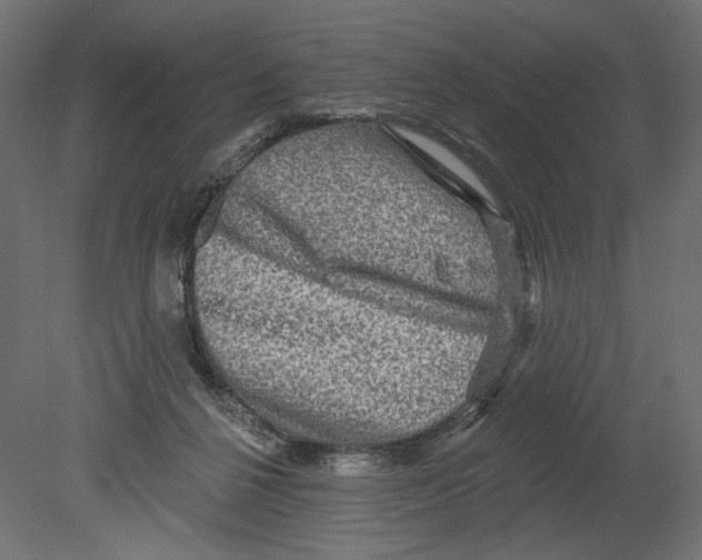 X0000080690264200701121733