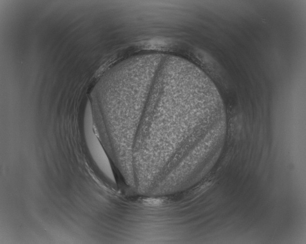 X0000080690265200701121733