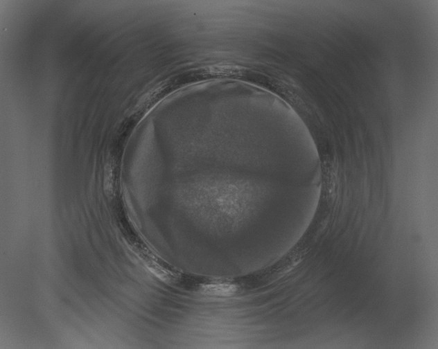 X0000080690266200701121733